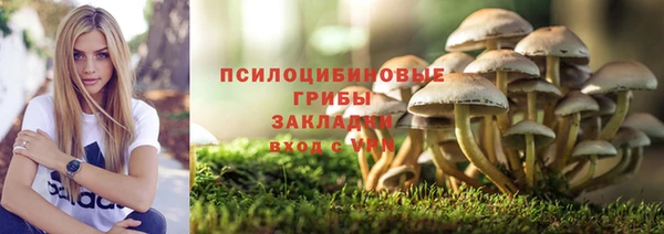 apvp Армянск