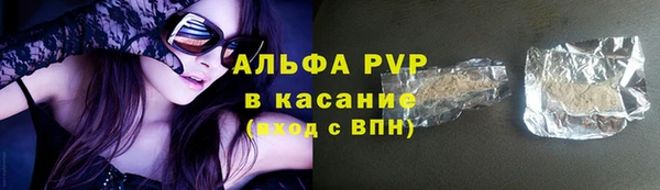 индика Арсеньев