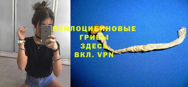 apvp Армянск