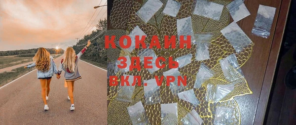 индика Арсеньев