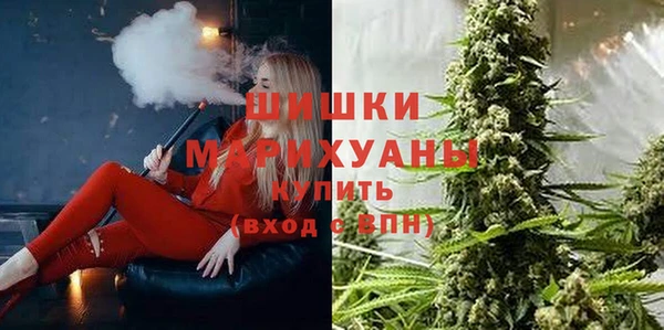 индика Арсеньев