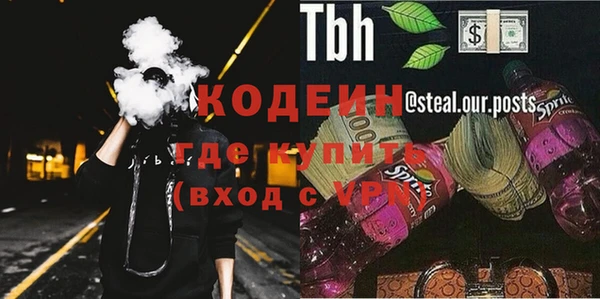 индика Арсеньев