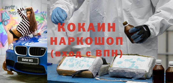 индика Арсеньев