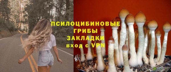 индика Арсеньев