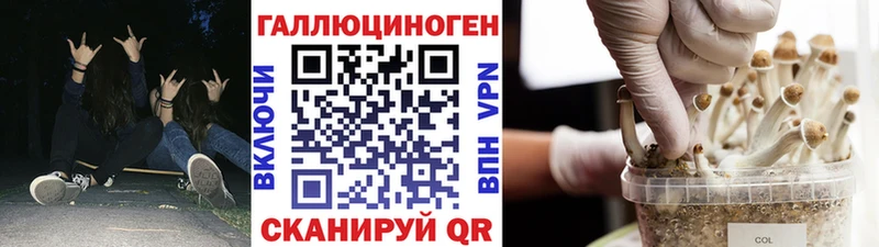 Галлюциногенные грибы GOLDEN TEACHER хочу наркоту Когалым