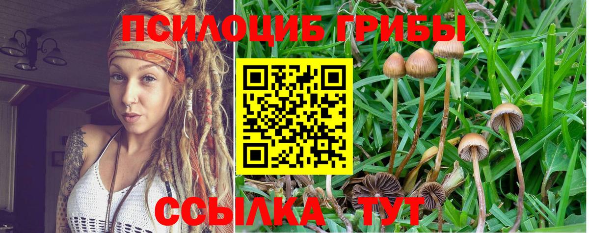 Галлюциногенные грибы MAGIC MUSHROOMS Когалым