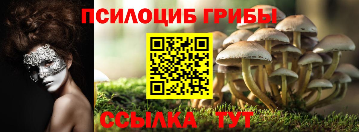 Галлюциногенные грибы Psilocybe  Вход с VPN  Когалым  дарнет шоп  Галлюциногенные грибы мухоморы 